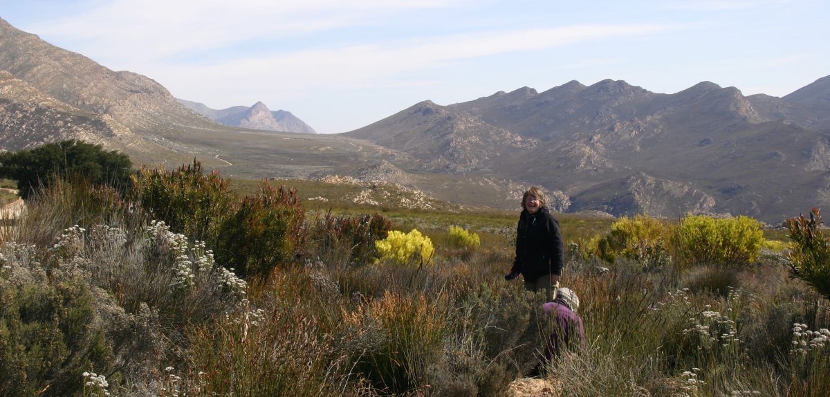 Field site Swartburg Mountains